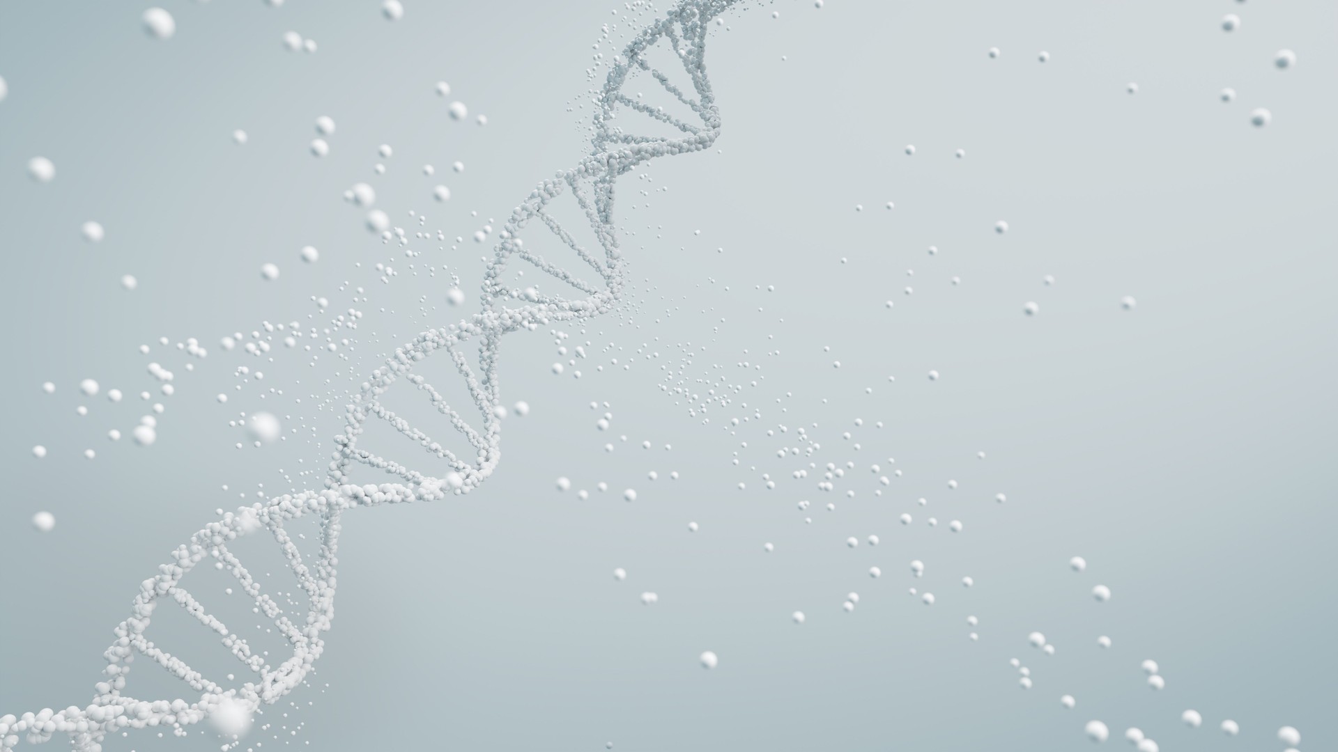 3D rendering of a DNA molecule in white with particles against a light background, scientific purity and genetic analysis.